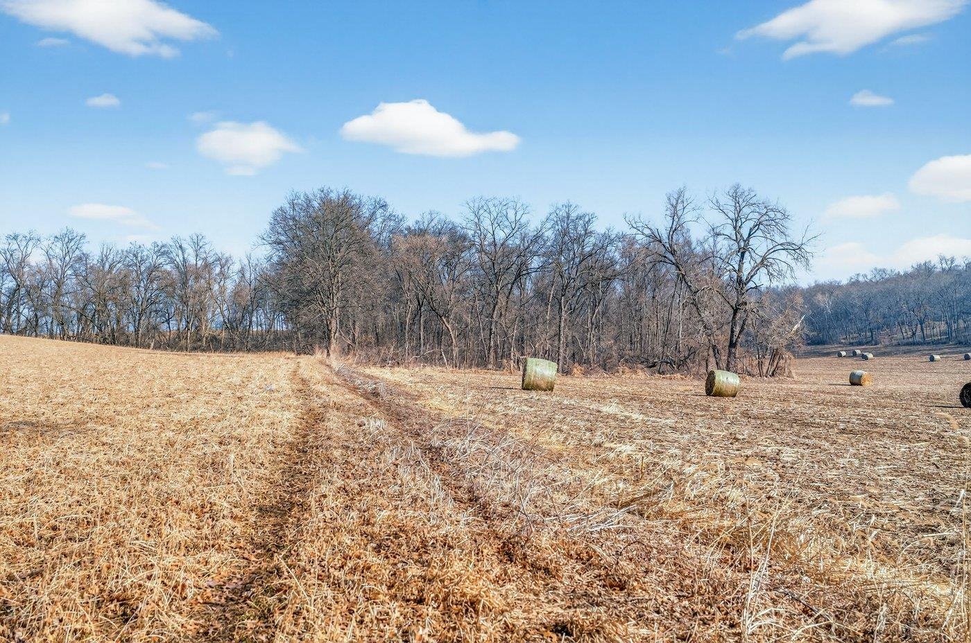 19.85-acres 19.85-acres Riles Middleton, WI 53562 - Photo 18 of 28