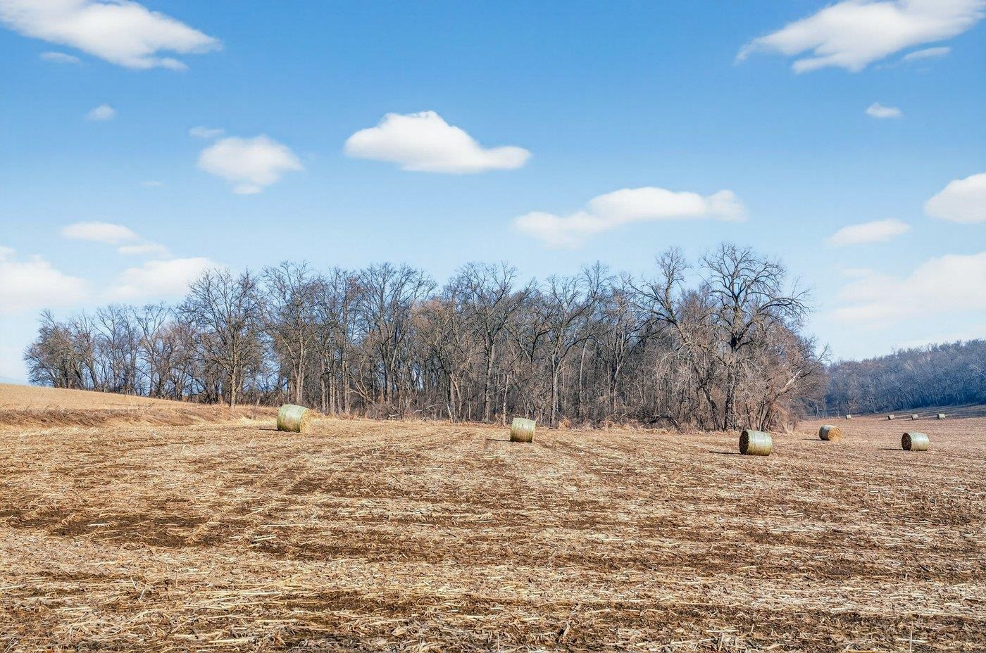19.85-acres 19.85-acres Riles Middleton, WI 53562 - Photo 20 of 28