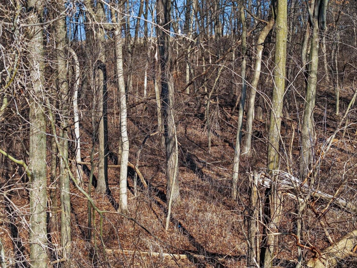 19.85-acres 19.85-acres Riles Middleton, WI 53562 - Photo 22 of 28