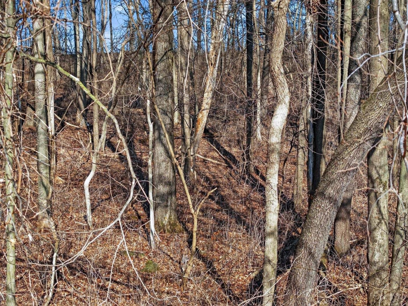19.85-acres 19.85-acres Riles Middleton, WI 53562 - Photo 23 of 28