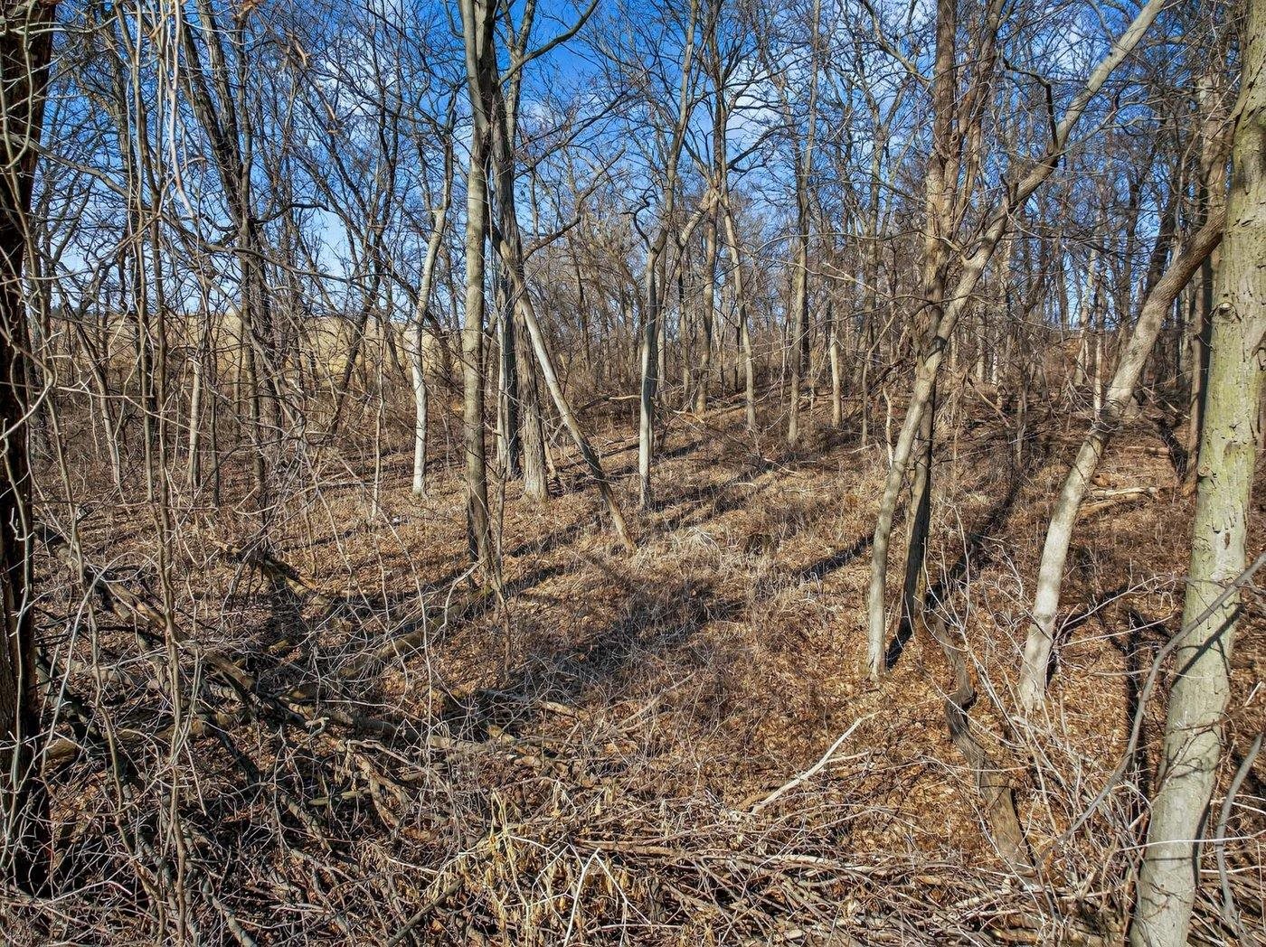 19.85-acres 19.85-acres Riles Middleton, WI 53562 - Photo 24 of 28