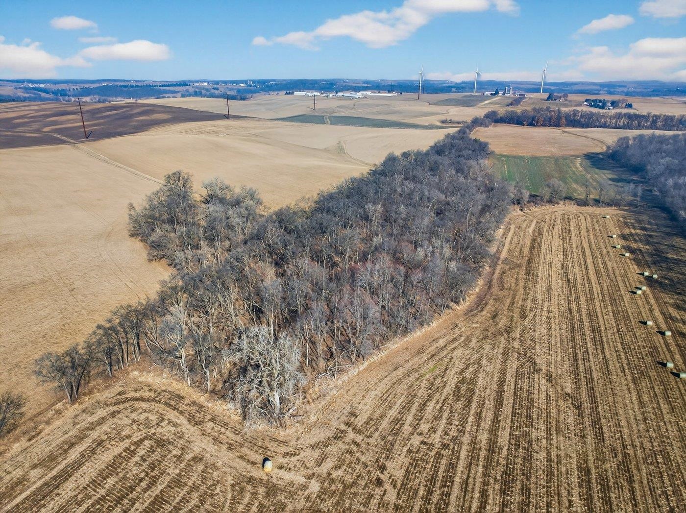 19.85-acres 19.85-acres Riles Middleton, WI 53562 - Photo 4 of 28