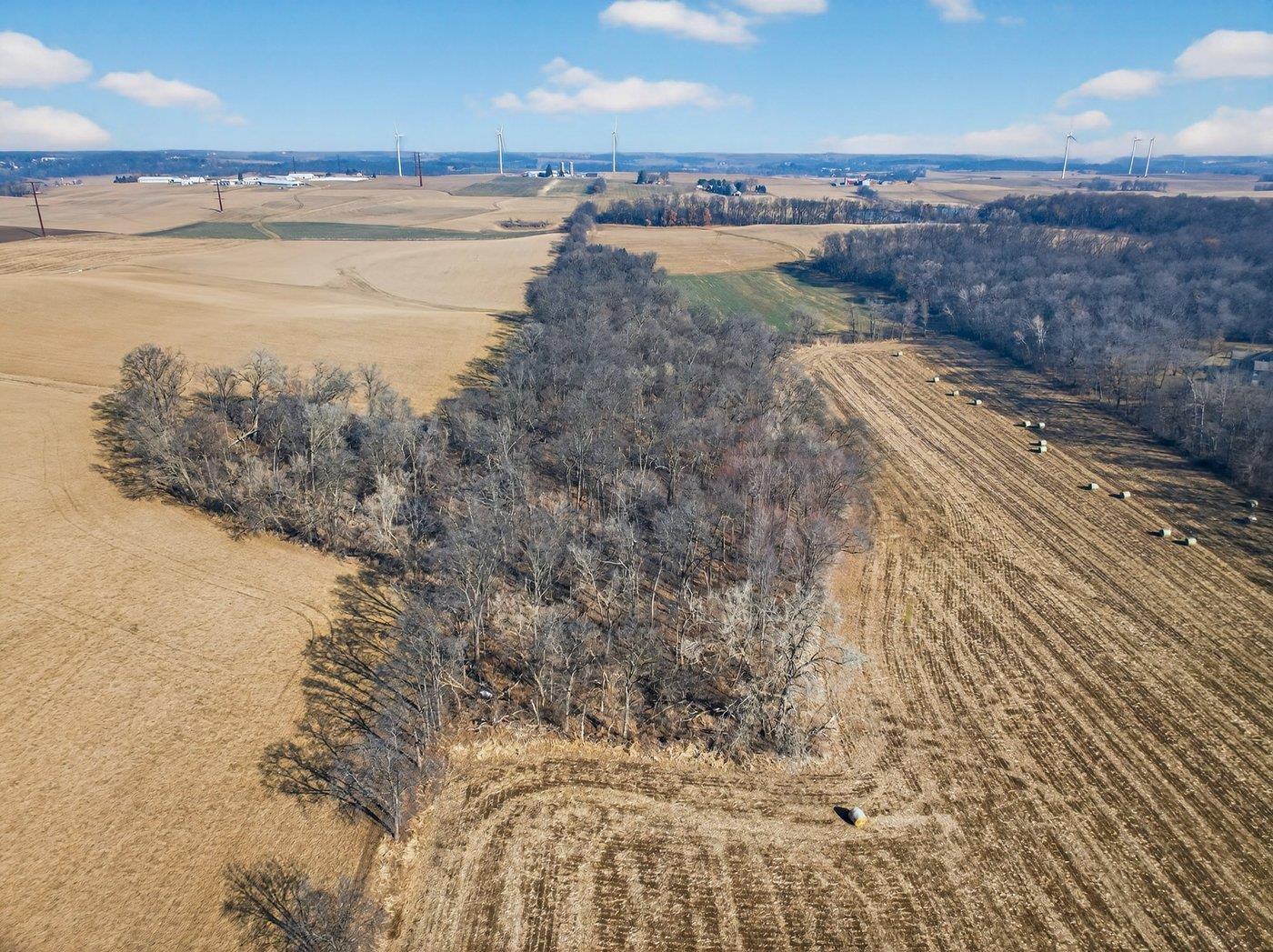 19.85-acres 19.85-acres Riles Middleton, WI 53562 - Photo 5 of 28