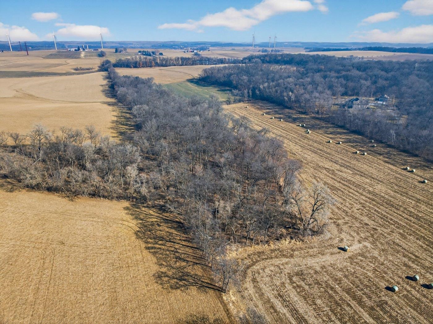 19.85-acres 19.85-acres Riles Middleton, WI 53562 - Photo 6 of 28