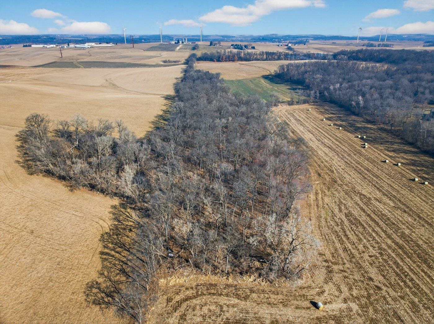 19.85-acres 19.85-acres Riles Middleton, WI 53562 - Photo 7 of 28