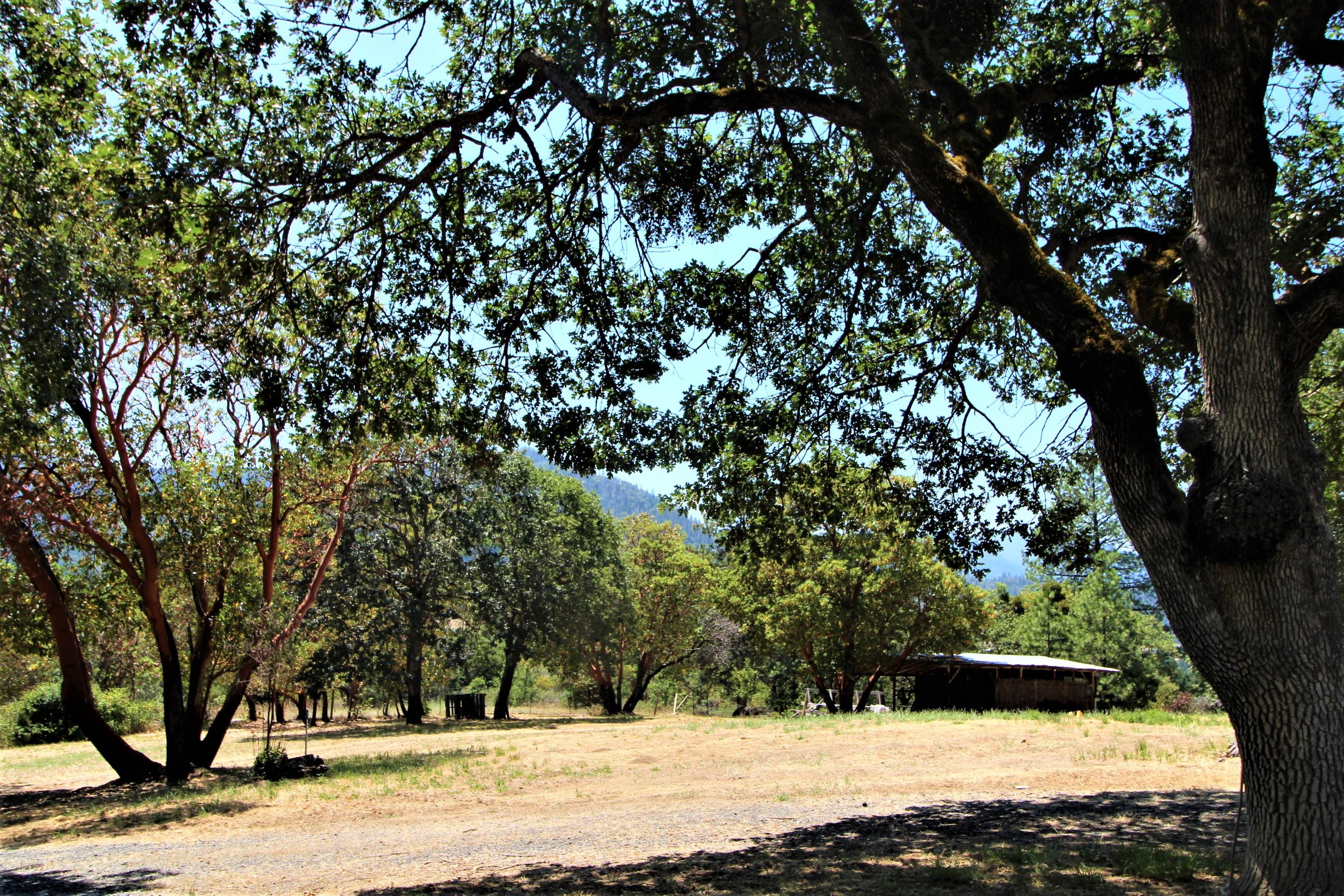 17170 North Applegate Road Grants Pass, OR 97527 - Photo 68 of 68 Pasture