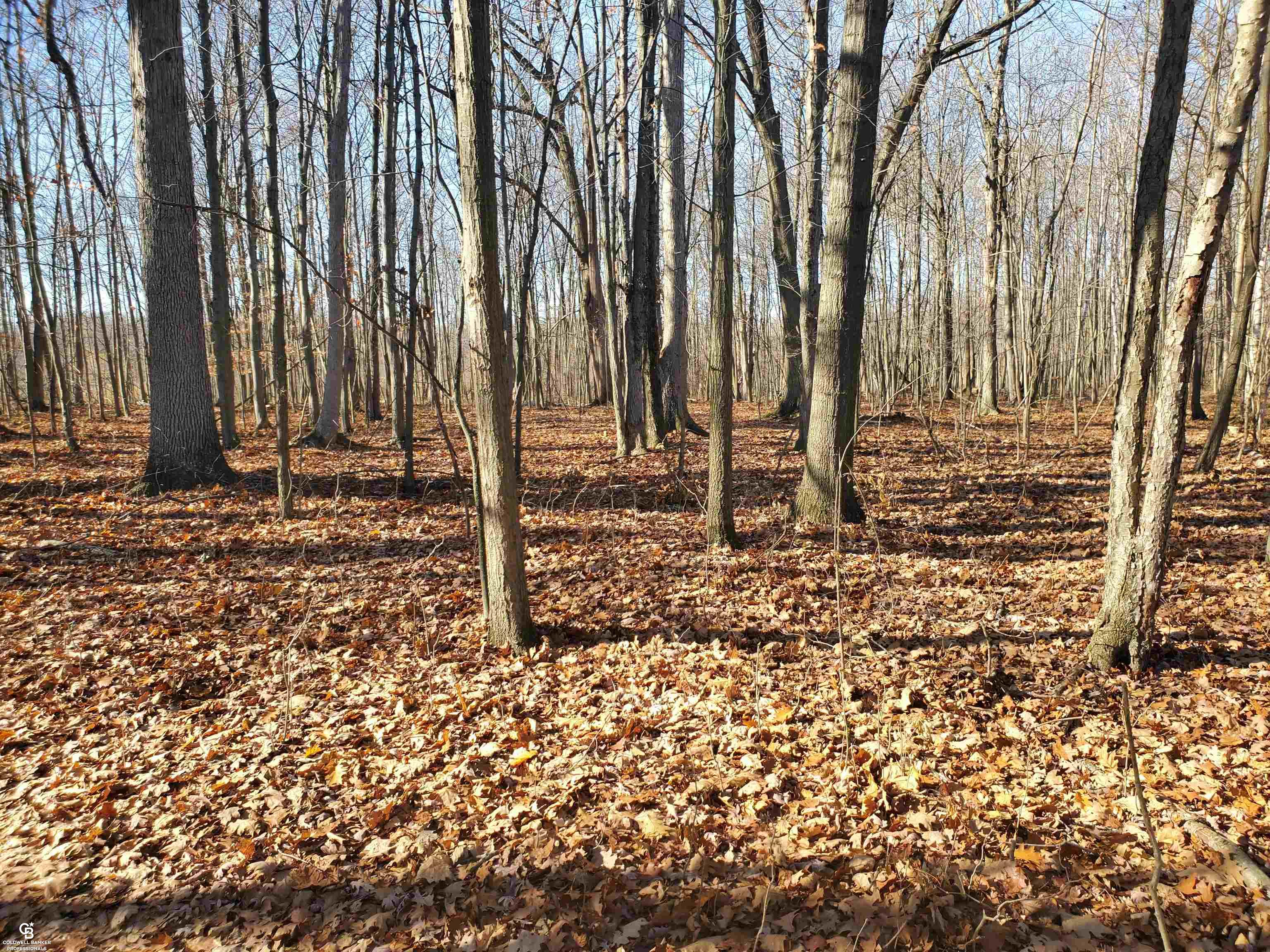 Mason Rd Ville Yale, MI 48097 - Photo 14 of 21