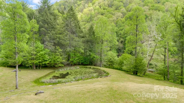 a view of a yard with plants and trees