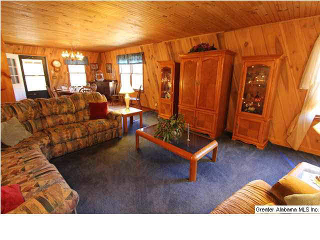 1019 County Road 233 Fruithurst, AL 36262 - Photo 19 of 32