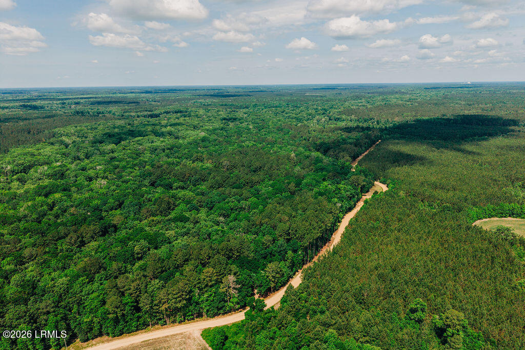 0 Parnel Road Cope, SC 29038 - Photo 8 of 13 DJI_20260511112352_0110_D