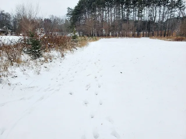 $429,000 | 247 East Madison Street, Clintonville, WI 54929