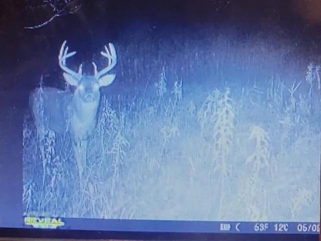 $429,000 | 247 East Madison Street, Clintonville, WI 54929