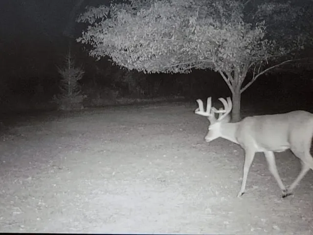 $429,000 | 247 East Madison Street, Clintonville, WI 54929