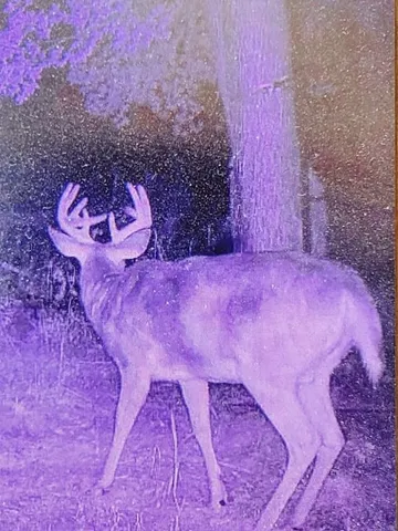 $429,000 | 247 East Madison Street, Clintonville, WI 54929