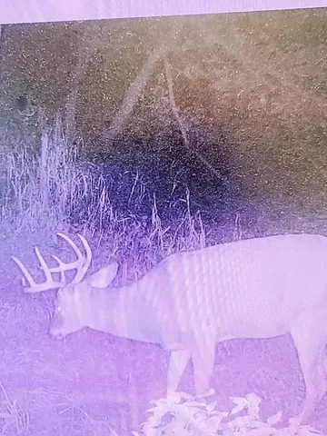 $429,000 | 247 East Madison Street, Clintonville, WI 54929