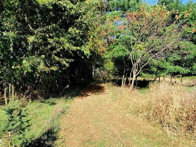 $429,000 | 247 East Madison Street, Clintonville, WI 54929