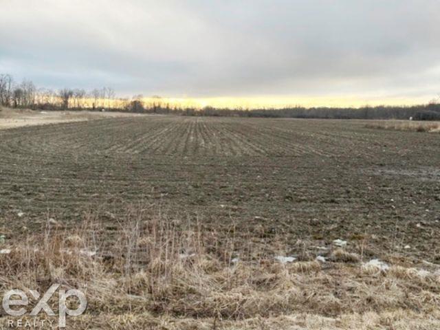 0 Sheridan Road Emmett, MI 48022 - Photo 3 of 4