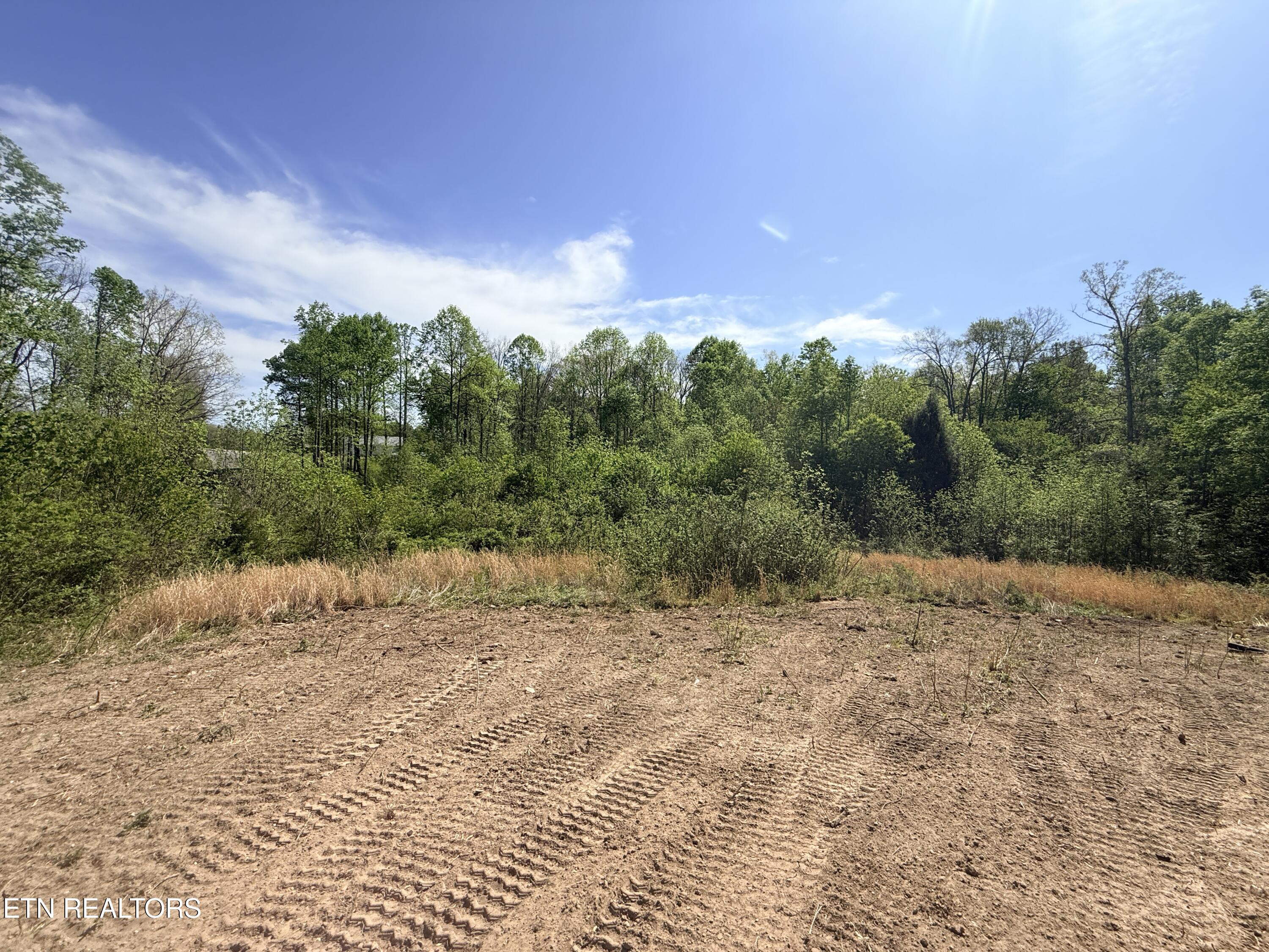 135 Frank Tinch Road Jamestown, TN 38556 - Photo 21 of 33 IMG_3437 - Copy