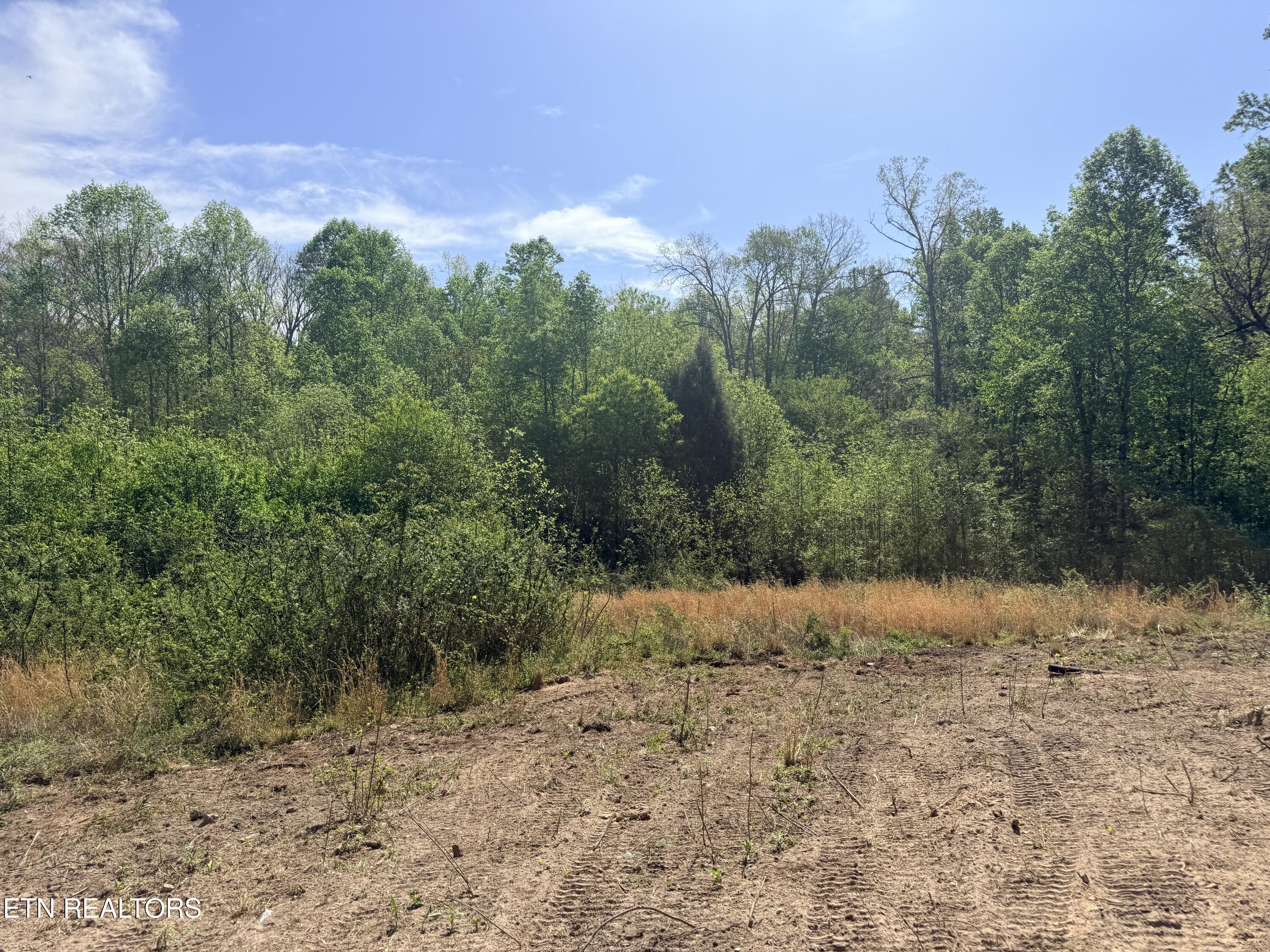 135 Frank Tinch Road Jamestown, TN 38556 - Photo 22 of 33 IMG_3439 - Copy