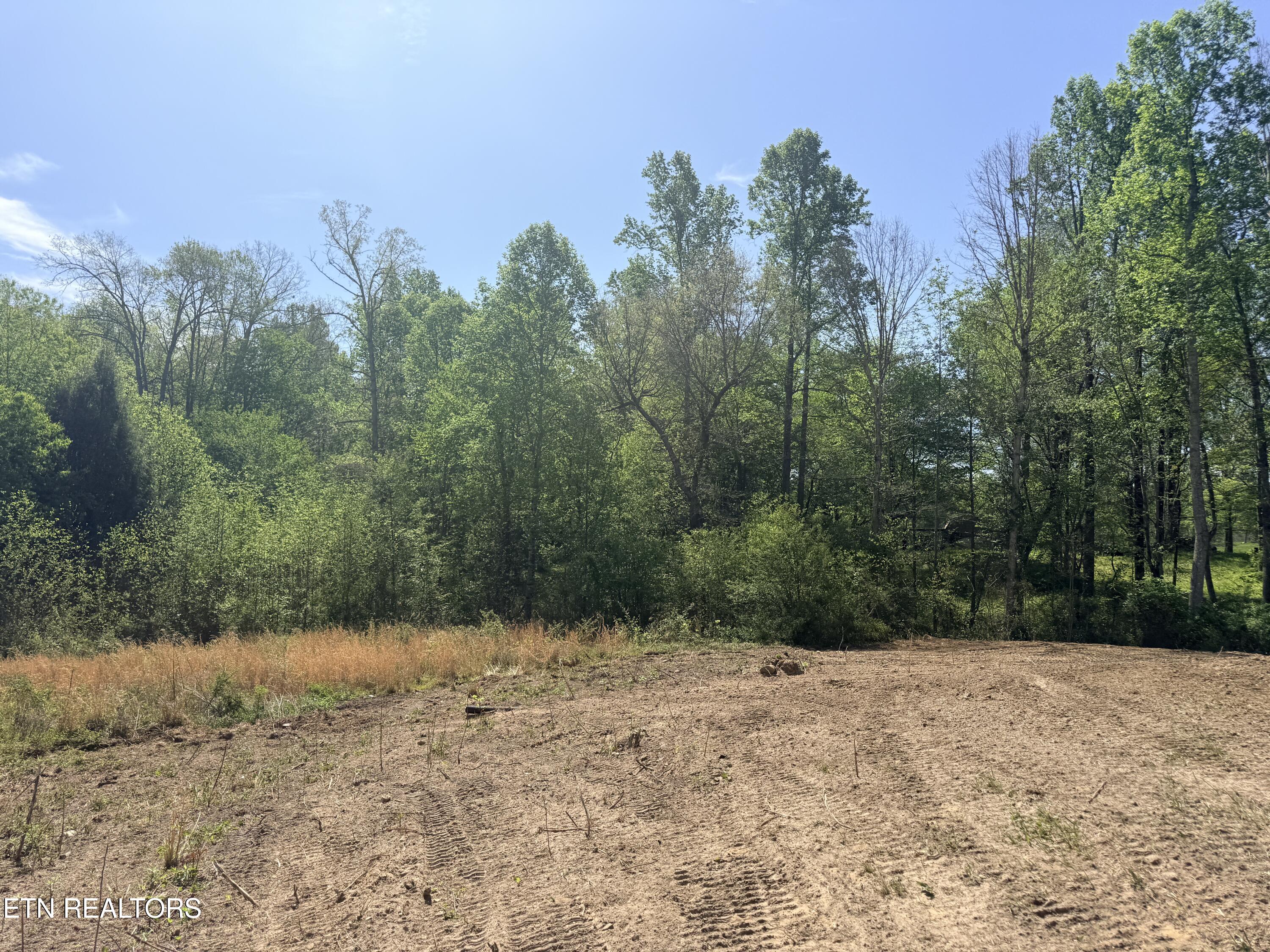 135 Frank Tinch Road Jamestown, TN 38556 - Photo 23 of 33 IMG_3440 - Copy