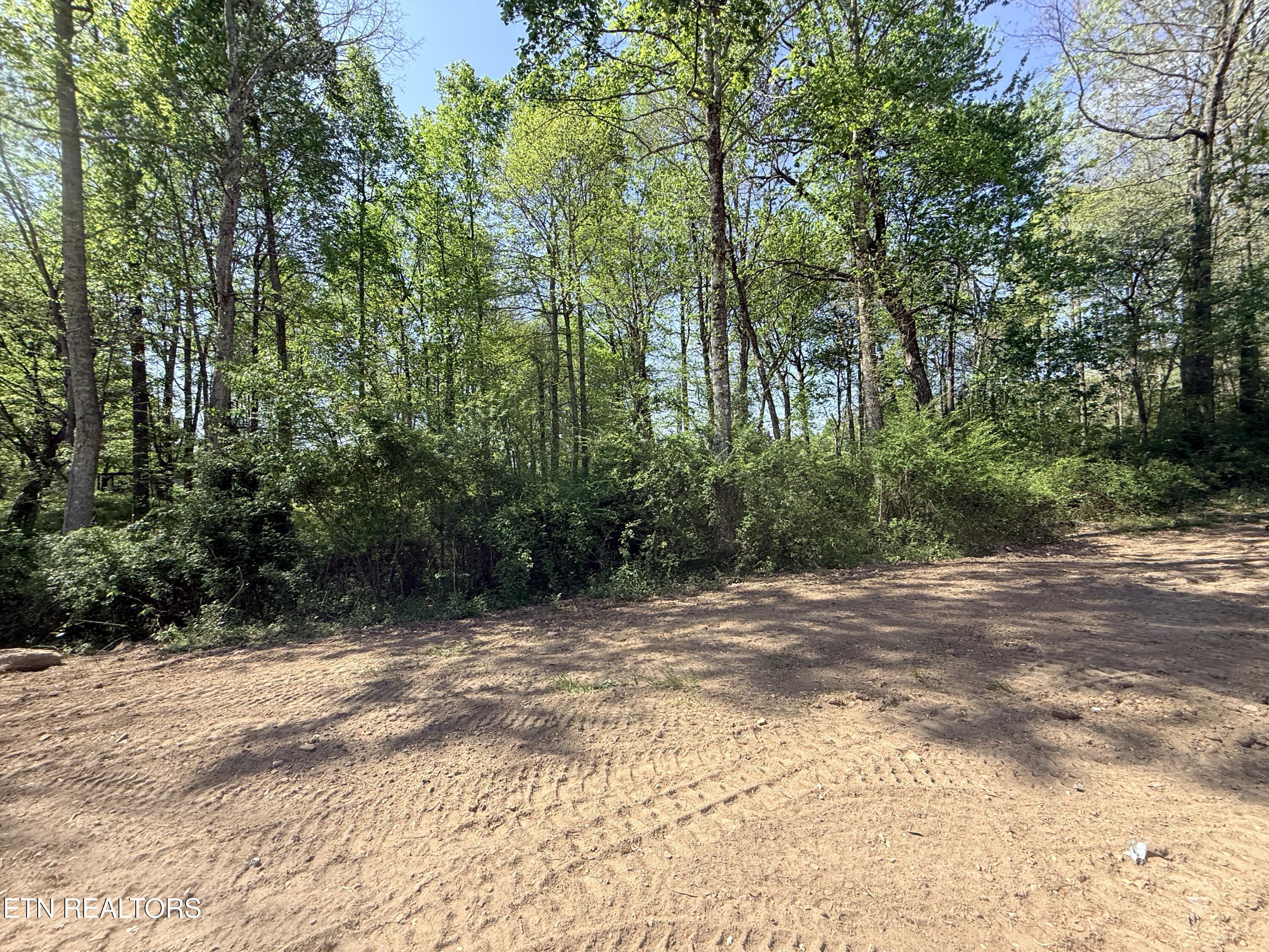 135 Frank Tinch Road Jamestown, TN 38556 - Photo 32 of 33 IMG_3449 - Copy