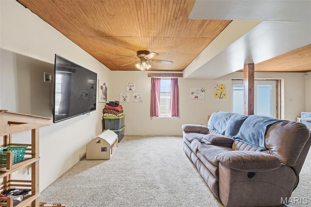 3245 Cedar Falls Road Bonne Terre, MO 63628 - Photo 40 of 67