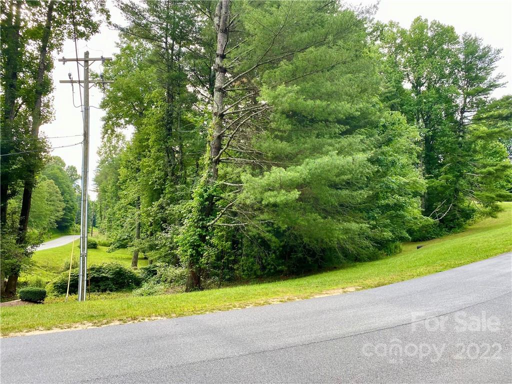 87 Solomon's Cove Road, Unit 12 Flat Rock, NC 28731 - Photo 3 of 18 Gallery Image 3