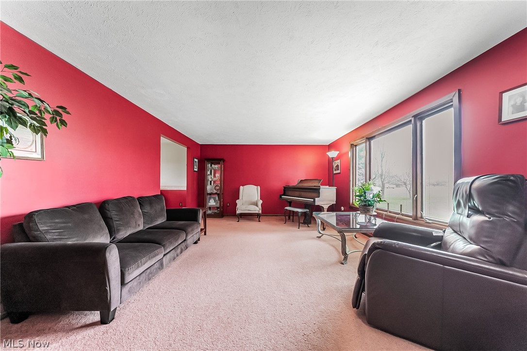 16775 Snyder Road Chagrin Falls, OH 44023 - Photo 3 of 31 Living room with light colored carpet and a textured ceiling