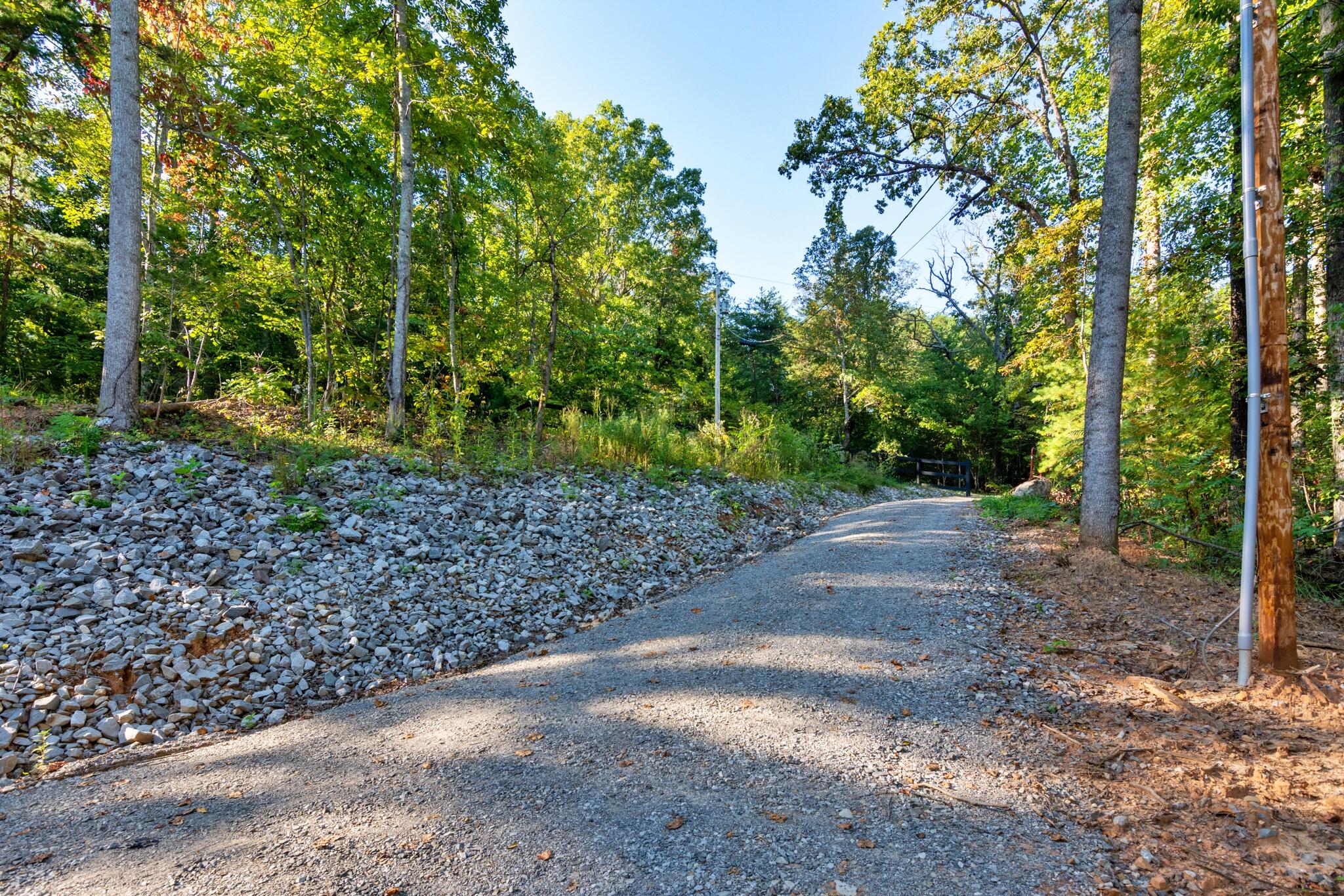 890 Lee Station Mountain Road Pikeville, TN 37367 - Photo 3 of 37 890LeeStationMtnRd-41