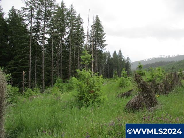 0 Northwest Fairdale Road Yamhill, OR 97148 - Photo 5 of 27