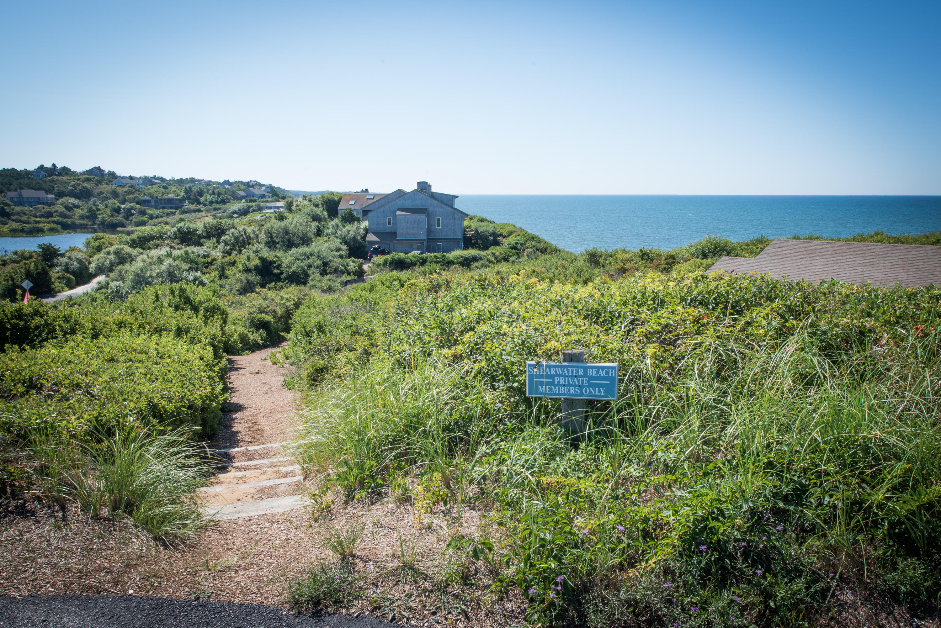 13 Avocet Road Truro, MA 02666 - Photo 31 of 35 a view of a bunch of trees and bushes