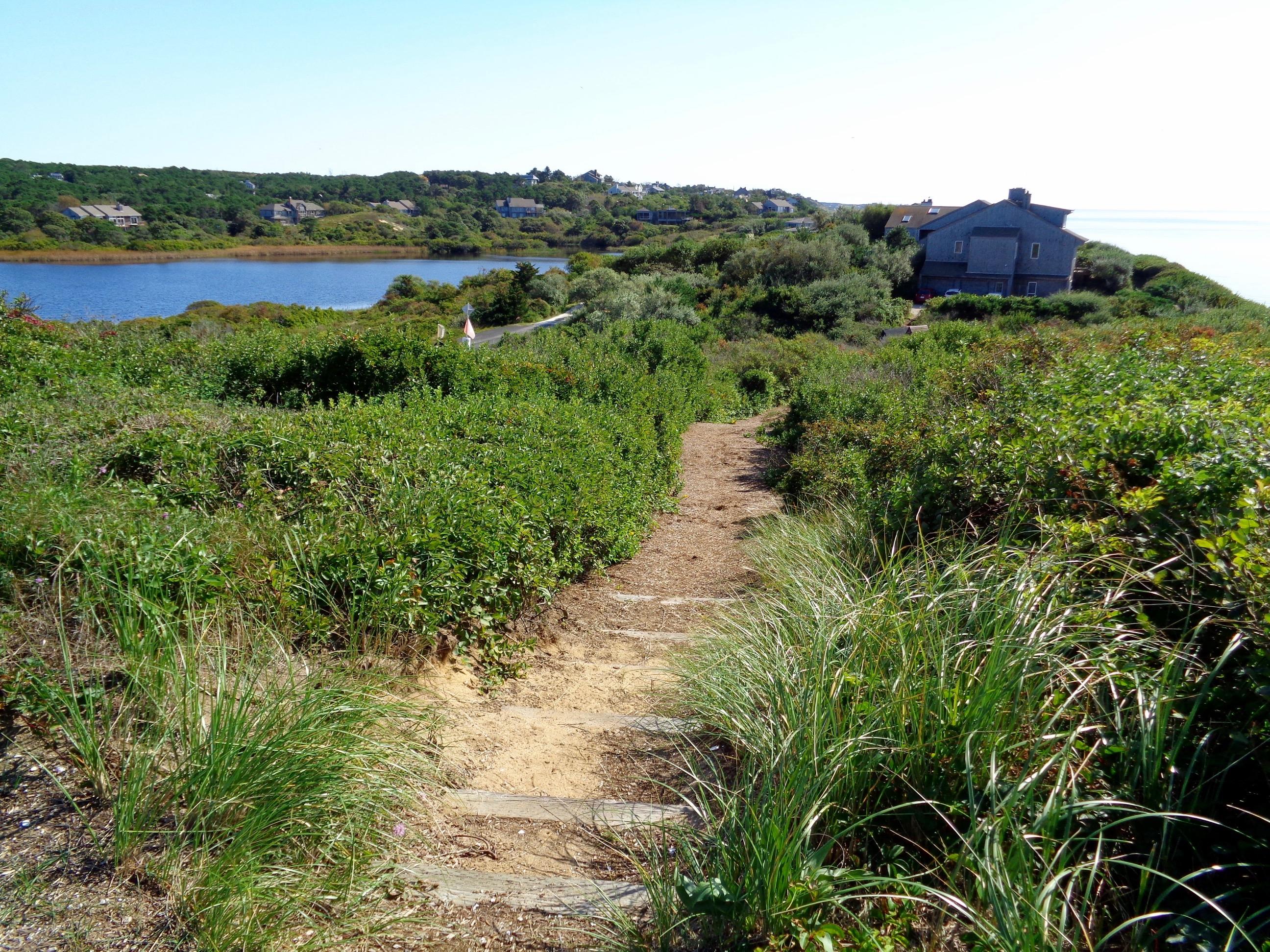 13 Avocet Road Truro, MA 02666 - Photo 32 of 35 a view of a garden with lawn chairs
