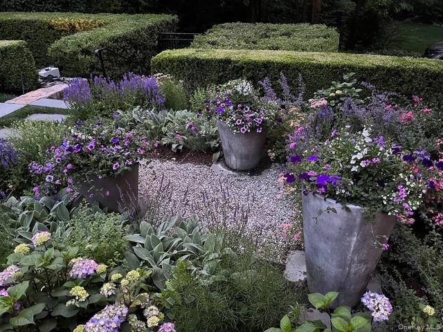 8 Richbell Road Scarsdale, NY 10583 - Photo 11 of 45 a view of a potted flower in a yard with a fountain