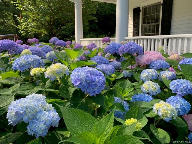8 Richbell Road Scarsdale, NY 10583 - Photo 12 of 45 a picture of flowers