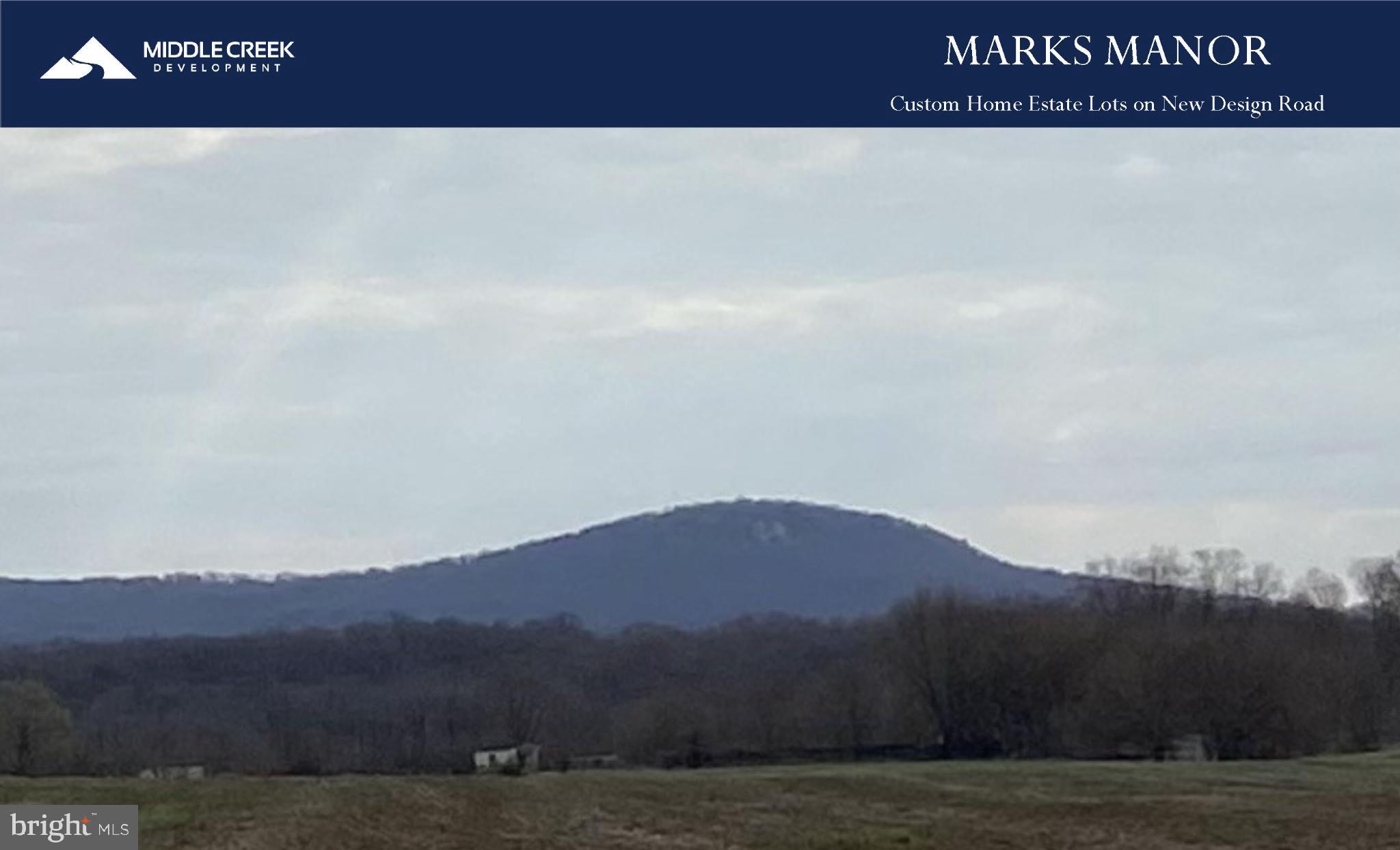 1261 New Design Road Tuscarora, MD 21790 - Photo 5 of 6