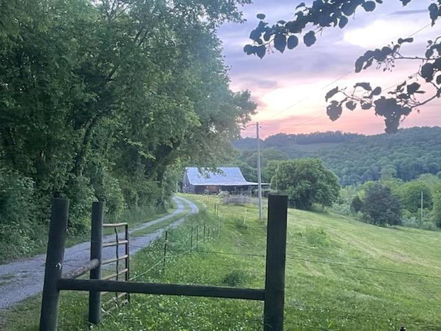 415 Corley Road Liberty, TN 37095 - Photo 13 of 19 a view of a yard with plants and a large tree