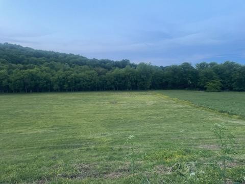 415 Corley Road Liberty, TN 37095 - Photo 15 of 19 a view of a green field