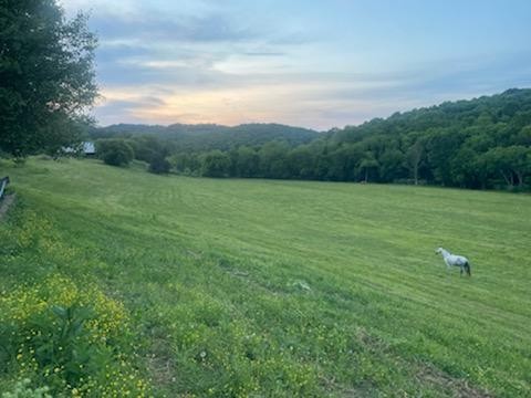 415 Corley Road Liberty, TN 37095 - Photo 16 of 19 a view of field with grass and trees