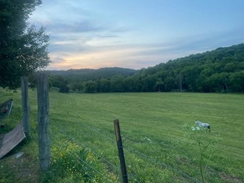 415 Corley Road Liberty, TN 37095 - Photo 17 of 19 a view of a field with grass and trees in the background