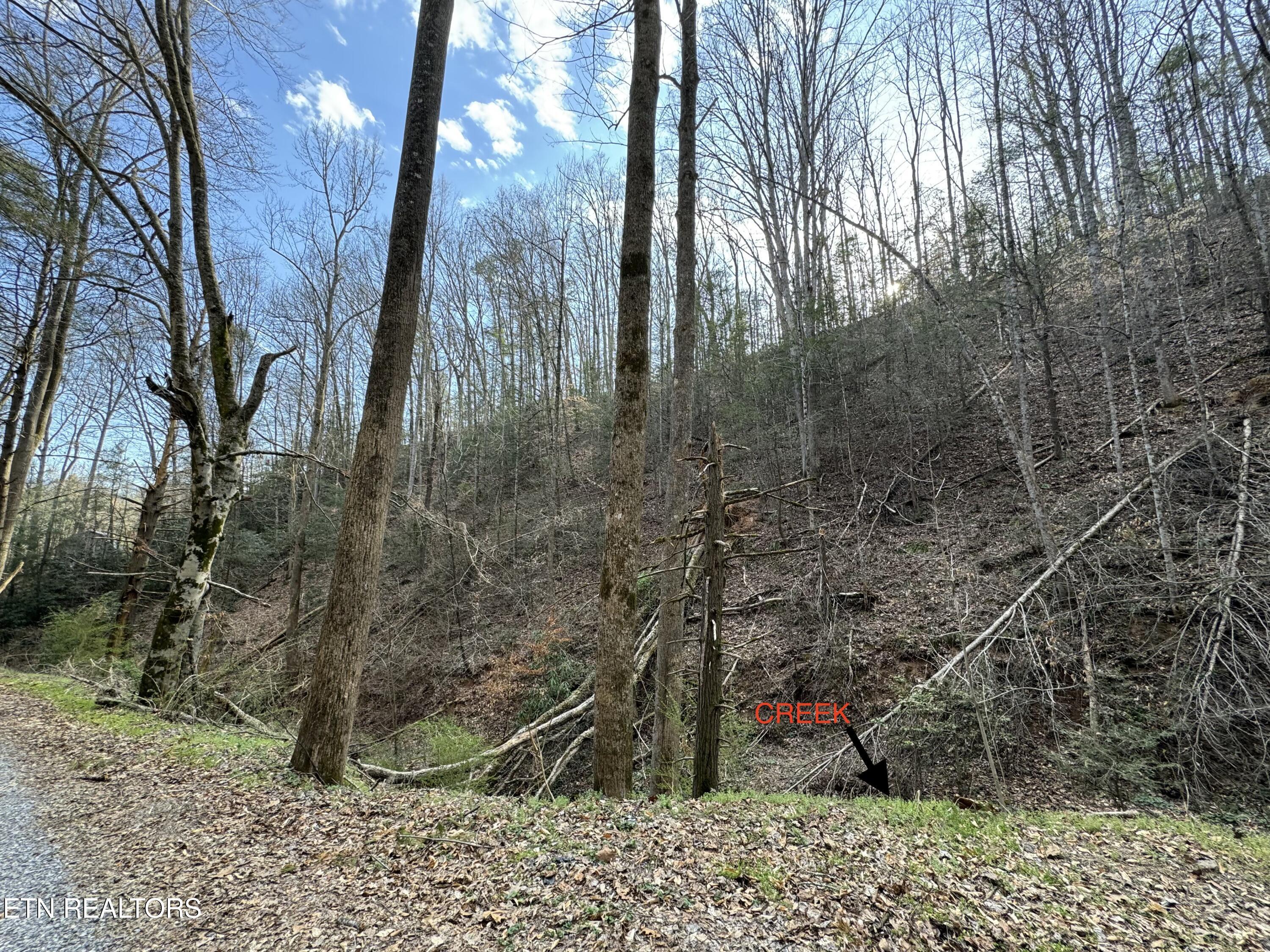Hobe Maples Way Sevierville, TN 37876 - Photo 3 of 8 tempImageBX9DAF