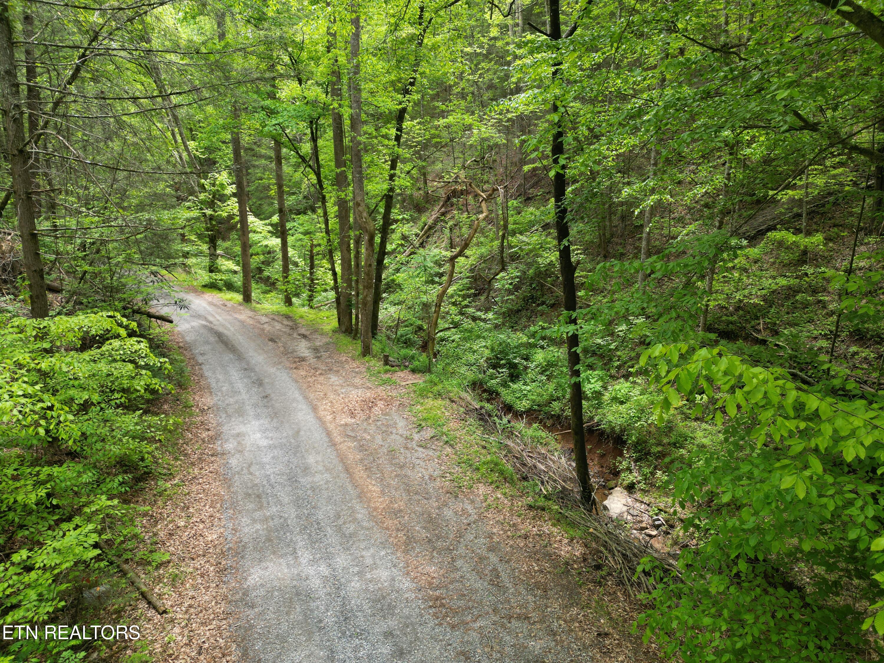 Hobe Maples Way Sevierville, TN 37876 - Photo 4 of 8 DJI_0637