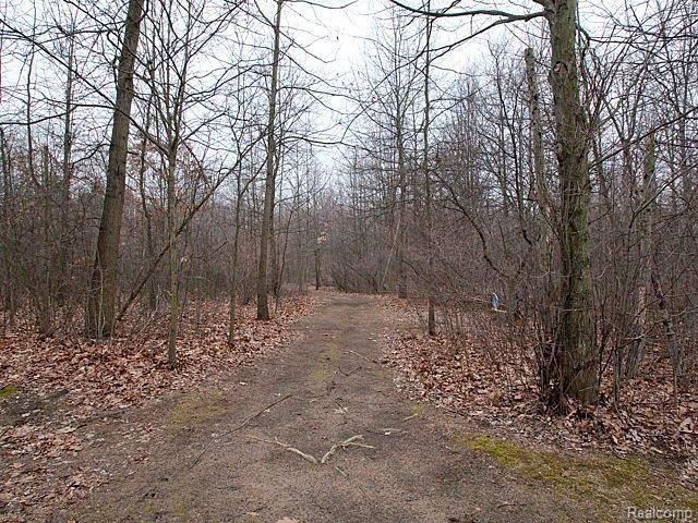 19500 Merriman Road Romulus, MI 48174 - Photo 25 of 25 Woods/Trail