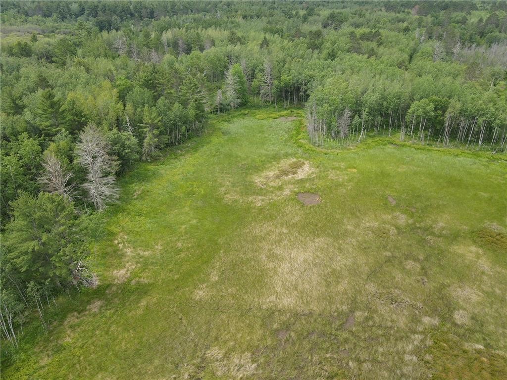 W37-xx Frog Creek Road Minong, WI 54859 - Photo 15 of 40 Tree Line