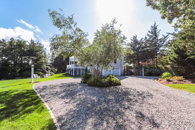 a view of a park with large trees