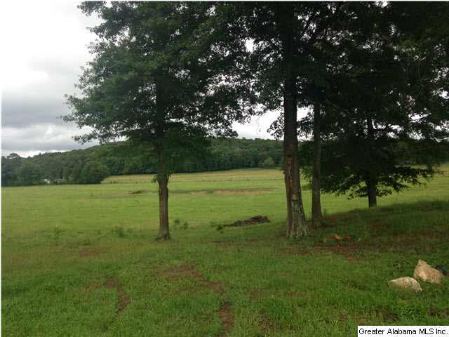 198 Richeytown Road Eastaboga, AL 36260 - Photo 2 of 3 Gallery Image 2