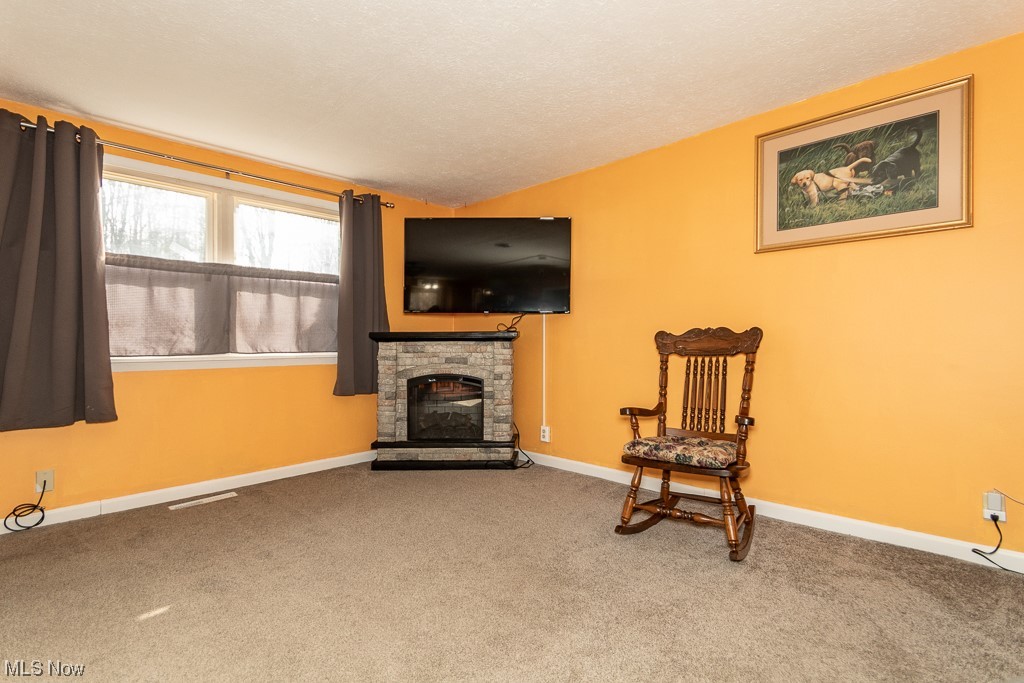 11038 Prouty Road Painesville, OH 44077 - Photo 8 of 24 Living area featuring a fireplace, dark colored carpet, lofted ceiling, and a textured ceiling