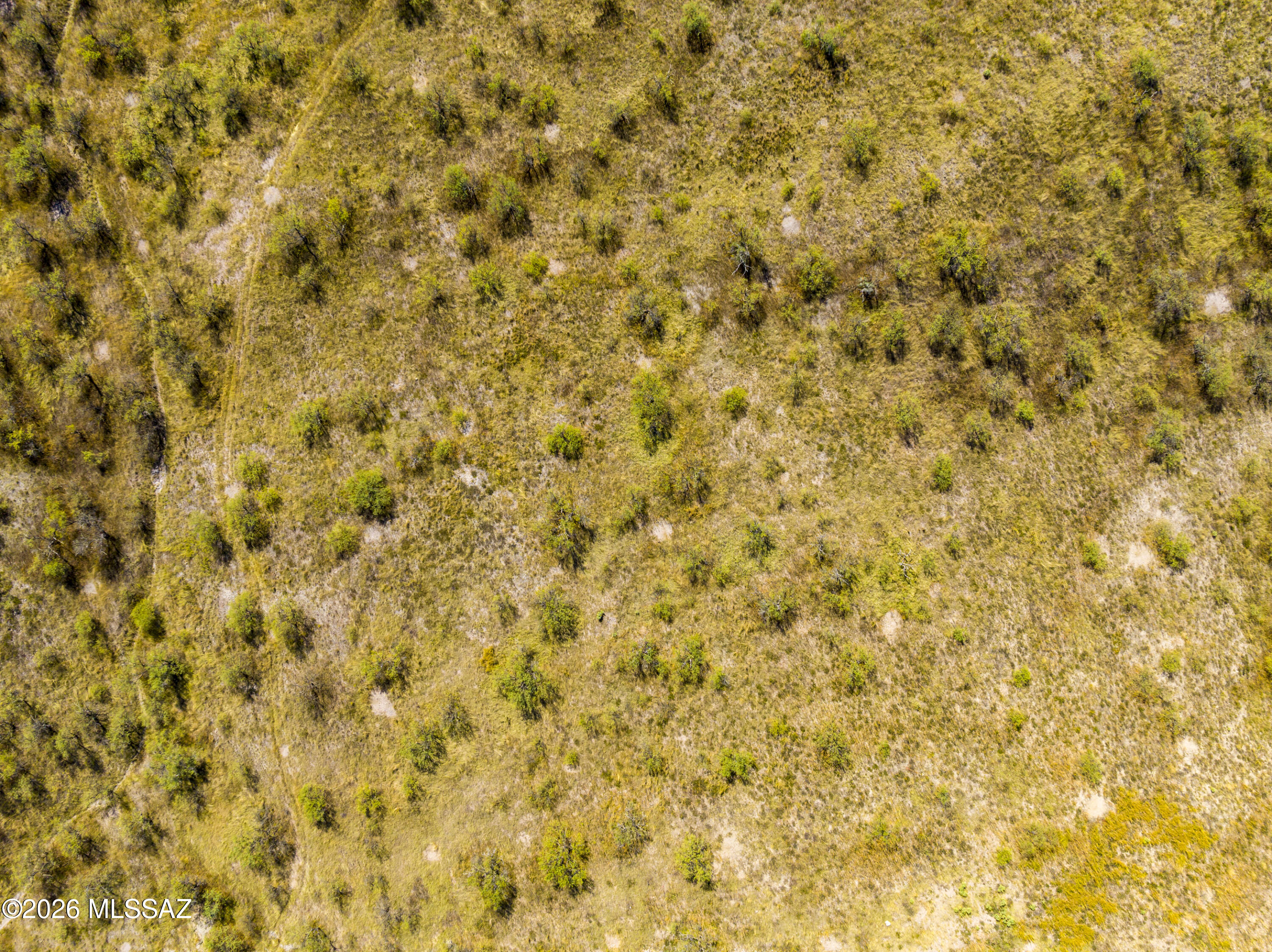 14735 West Jalisco Road Arivaca, AZ 85601 - Photo 3 of 10