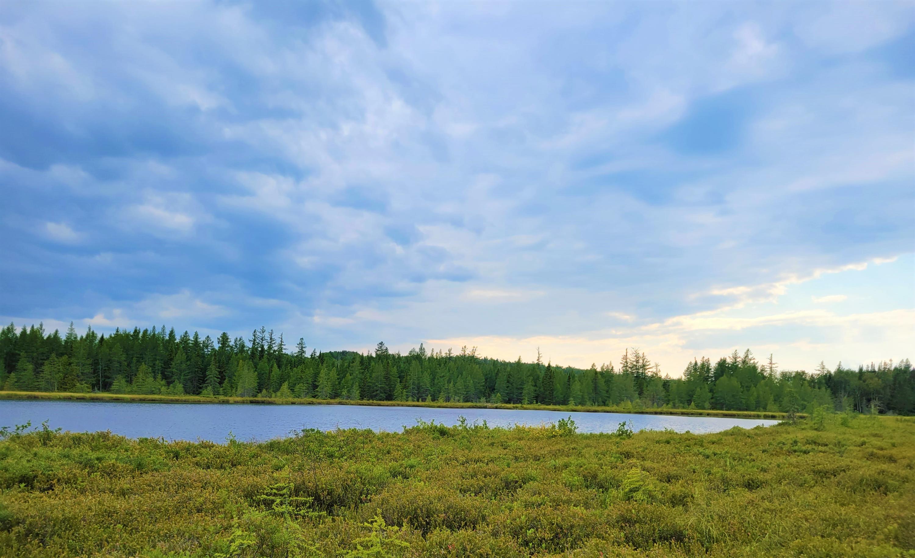 Map38-lot3 Doucette Road Grand Isle, ME 04746 - Photo 18 of 25 7
