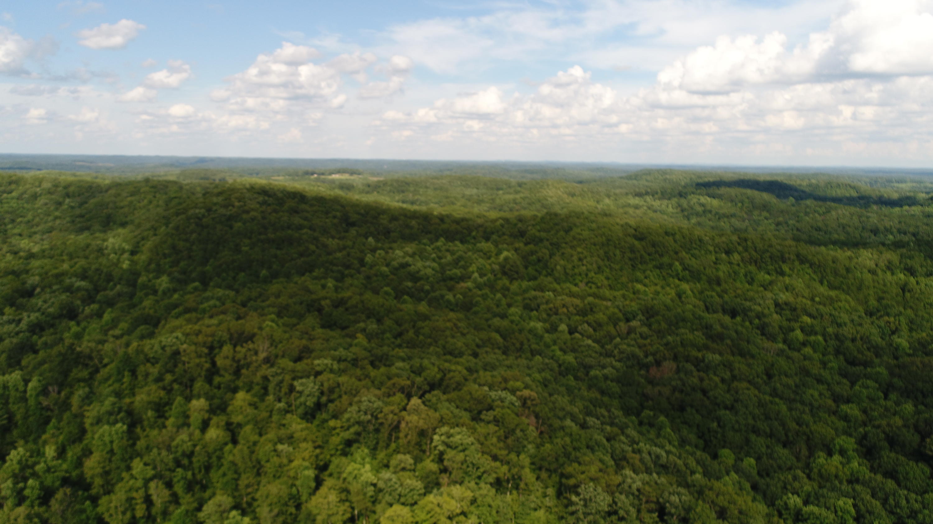 738 Acorn-Ano Road Somerset, KY 42501 - Photo 11 of 39 DJI_0177