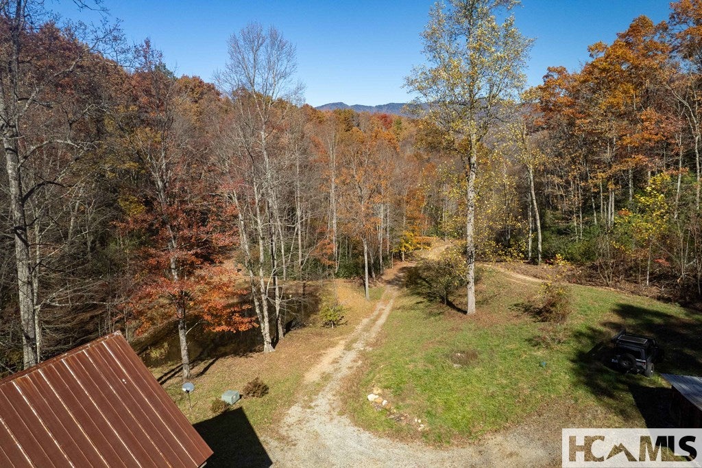 930 Copperhead Cove Road Sylva, NC 28779 - Photo 3 of 18 Gallery Image 3